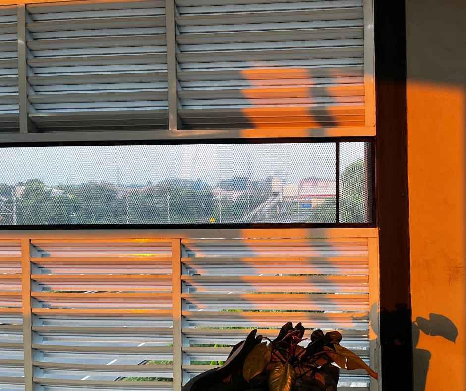 Motorized Shades vs Manual Shades: Which Is Worth the Extra Cost?